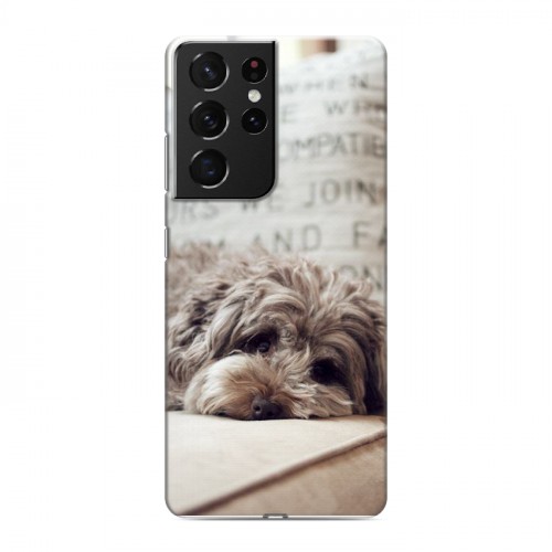 Дизайнерский пластиковый чехол для Samsung Galaxy S21 Ultra Собаки