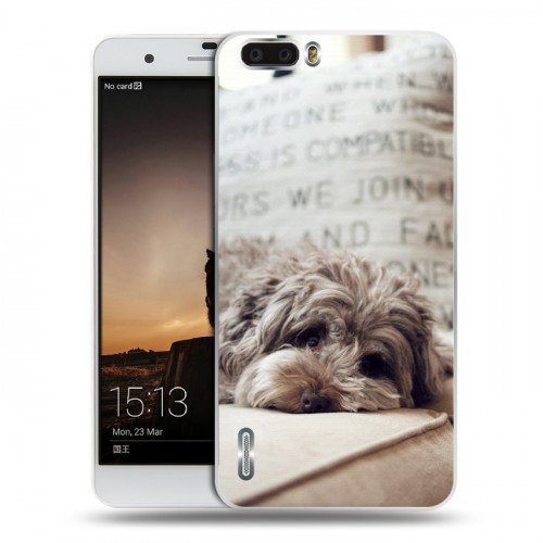 Дизайнерский пластиковый чехол для Huawei Honor 6 Plus Собаки