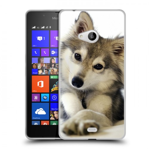 Дизайнерский пластиковый чехол для Microsoft Lumia 540 Собаки