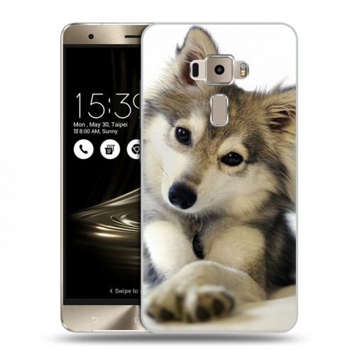 Дизайнерский пластиковый чехол для Asus ZenFone 3 Собаки