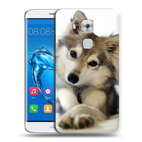 Дизайнерский пластиковый чехол для Huawei Nova Plus Собаки