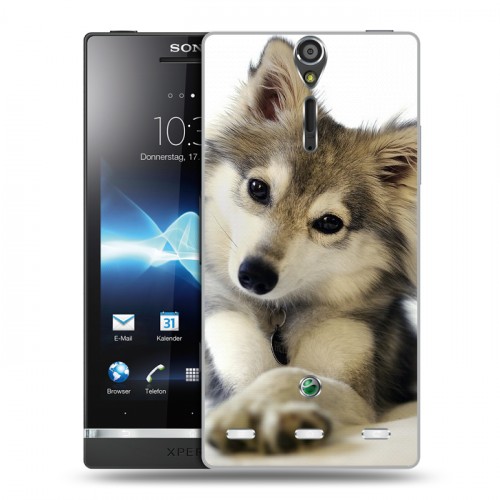 Дизайнерский пластиковый чехол для Sony Xperia S Собаки