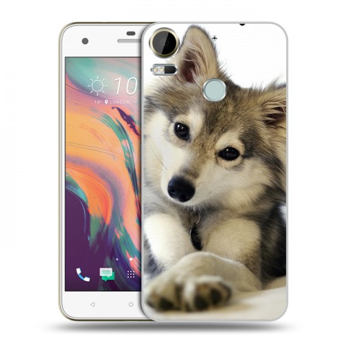 Дизайнерский пластиковый чехол для HTC Desire 10 Pro Собаки