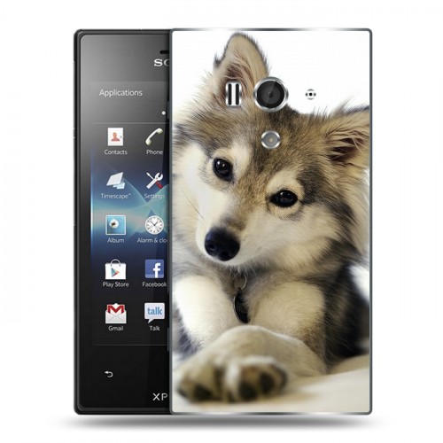 Дизайнерский пластиковый чехол для Sony Xperia acro S Собаки