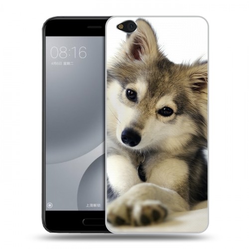 Дизайнерский пластиковый чехол для Xiaomi Mi5C Собаки