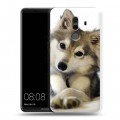 Дизайнерский пластиковый чехол для Huawei Mate 10 Pro Собаки