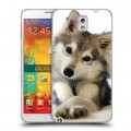 Дизайнерский пластиковый чехол для Samsung Galaxy Note 3 Собаки