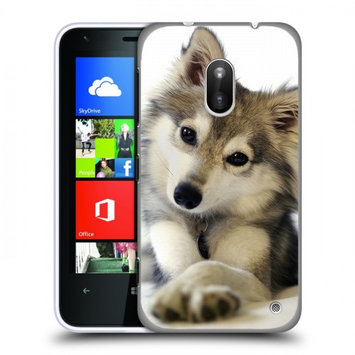 Дизайнерский пластиковый чехол для Nokia Lumia 620 Собаки