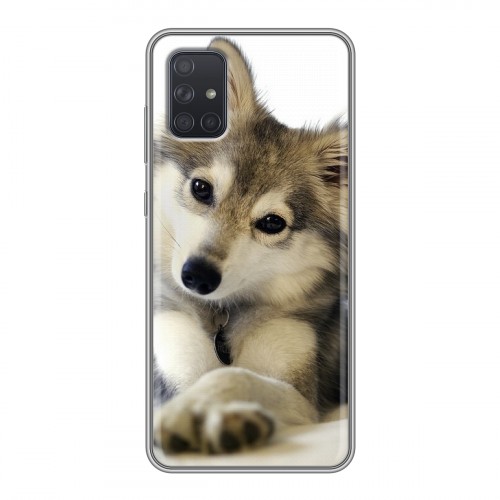 Дизайнерский силиконовый чехол для Samsung Galaxy A71 Собаки