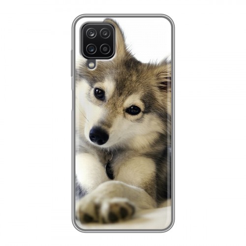 Дизайнерский силиконовый чехол для Samsung Galaxy A12 Собаки