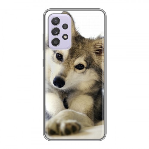 Дизайнерский силиконовый чехол для Samsung Galaxy A52 Собаки