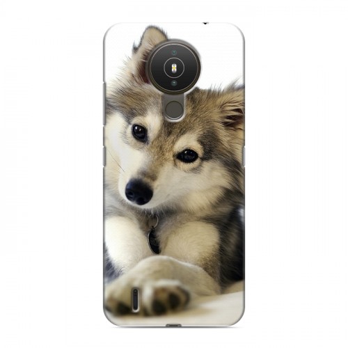 Дизайнерский пластиковый чехол для Nokia 1.4 Собаки
