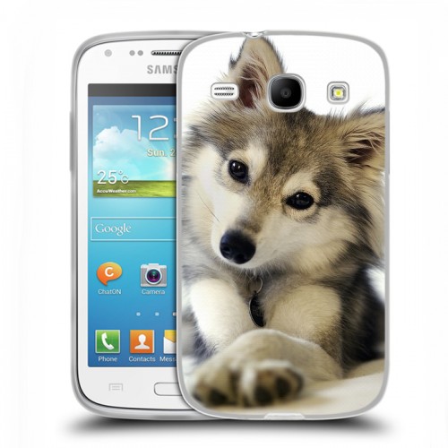 Дизайнерский пластиковый чехол для Samsung Galaxy Core Собаки