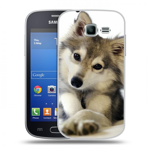 Дизайнерский пластиковый чехол для Samsung Galaxy Trend Lite Собаки