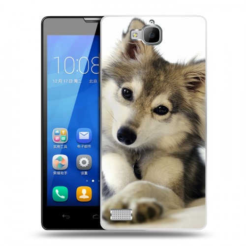 Дизайнерский пластиковый чехол для Huawei Honor 3c Собаки