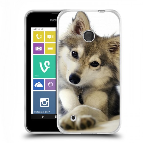 Дизайнерский пластиковый чехол для Nokia Lumia 530 Собаки
