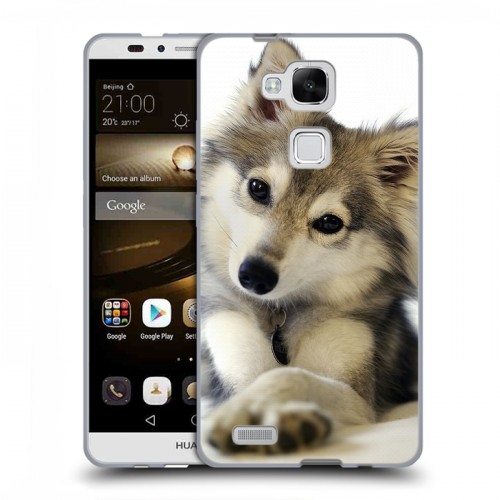 Дизайнерский пластиковый чехол для Huawei Ascend Mate 7 Собаки