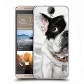 Дизайнерский силиконовый чехол для HTC One E9+ Собаки