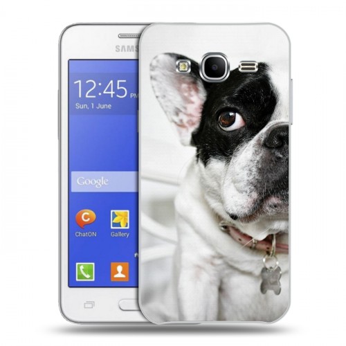 Дизайнерский пластиковый чехол для Samsung Galaxy J7 Собаки
