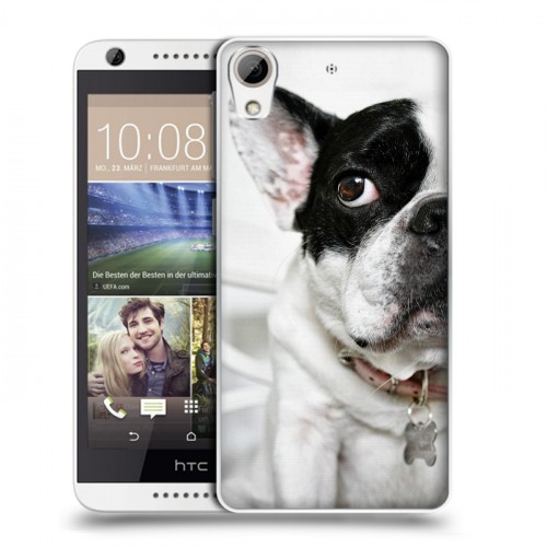 Дизайнерский пластиковый чехол для HTC Desire 626 Собаки