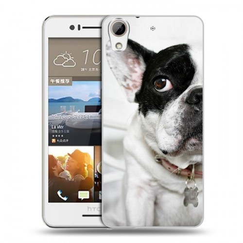 Дизайнерский пластиковый чехол для HTC Desire 728 Собаки