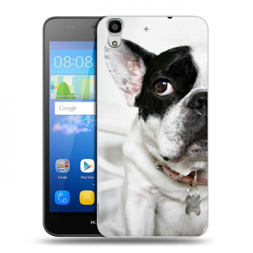 Дизайнерский пластиковый чехол для Huawei Y6 Собаки