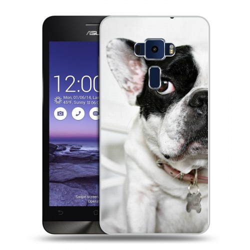 Дизайнерский пластиковый чехол для Asus ZenFone 3 5.2 Собаки