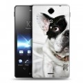 Дизайнерский пластиковый чехол для Sony Xperia TX Собаки