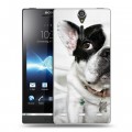 Дизайнерский пластиковый чехол для Sony Xperia S Собаки