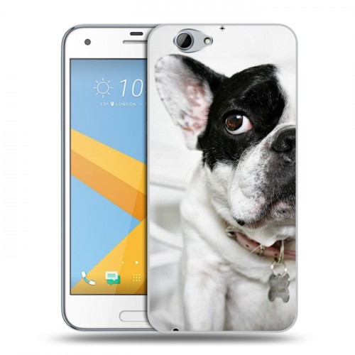 Дизайнерский пластиковый чехол для HTC One A9S Собаки