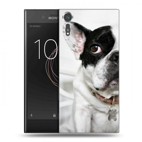 Дизайнерский пластиковый чехол для Sony Xperia XZs Собаки