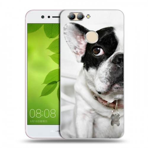 Дизайнерский пластиковый чехол для Huawei Nova 2 Собаки