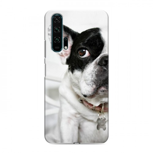 Дизайнерский силиконовый чехол для Huawei Honor 20 Pro Собаки