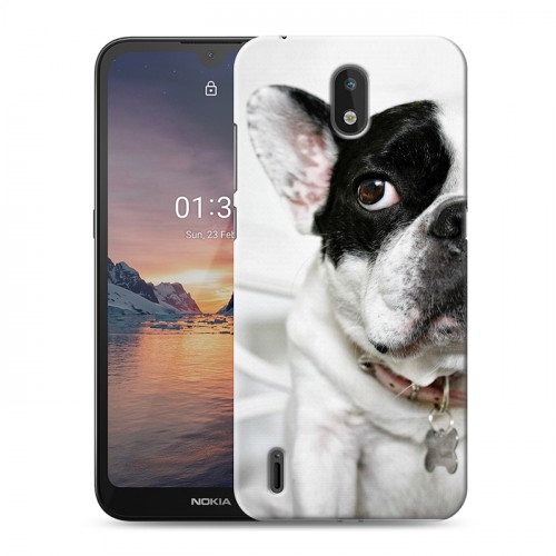 Дизайнерский силиконовый чехол для Nokia 1.3 Собаки