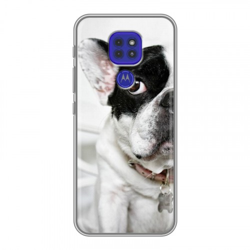 Дизайнерский силиконовый чехол для Motorola Moto G9 Play Собаки