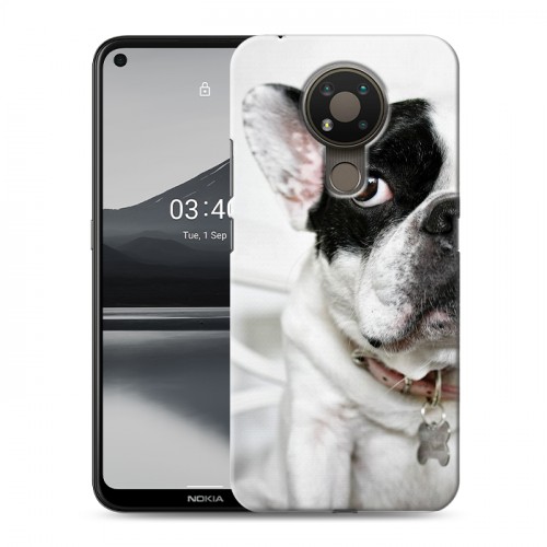 Дизайнерский пластиковый чехол для Nokia 3.4 Собаки