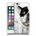 Дизайнерский пластиковый чехол для Iphone 6/6s Собаки