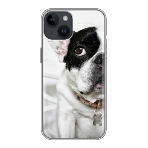 Дизайнерский пластиковый чехол для Iphone 14 Собаки