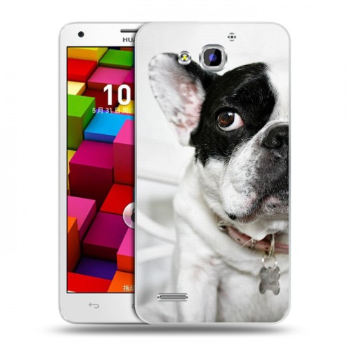 Дизайнерский пластиковый чехол для Huawei Honor 3x Собаки