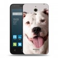 Дизайнерский силиконовый чехол для Alcatel One Touch Pixi 4 (6) Собаки