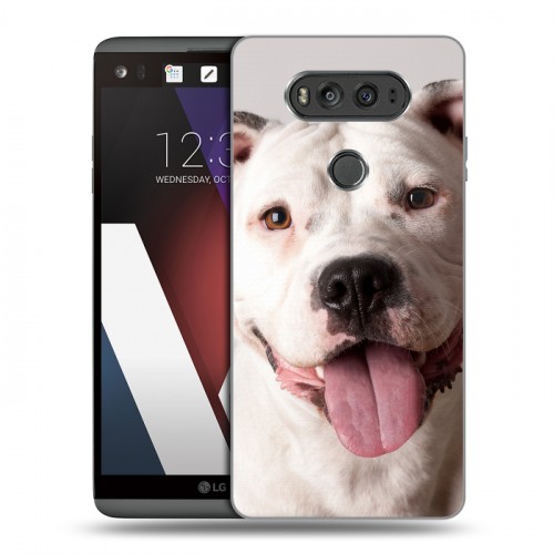 Дизайнерский пластиковый чехол для LG V20 Собаки
