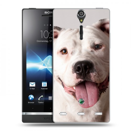 Дизайнерский пластиковый чехол для Sony Xperia S Собаки