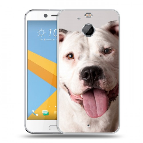 Дизайнерский пластиковый чехол для HTC 10 evo Собаки