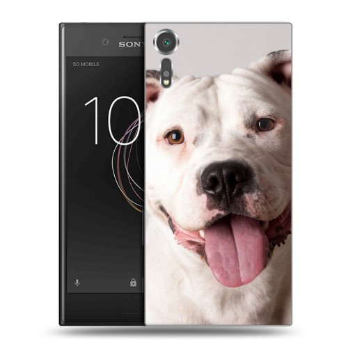 Дизайнерский пластиковый чехол для Sony Xperia XZs Собаки