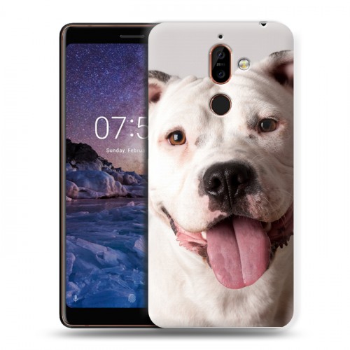 Дизайнерский пластиковый чехол для Nokia 7 Plus Собаки