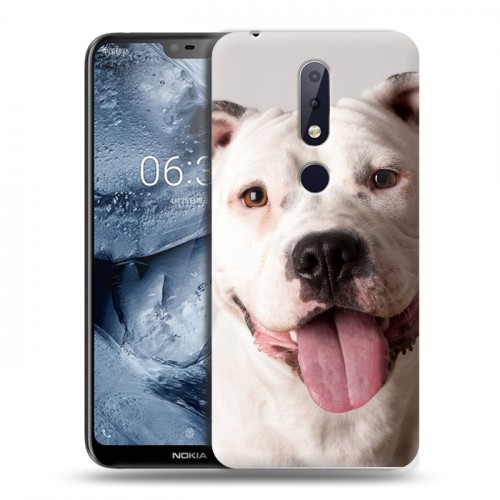 Дизайнерский пластиковый чехол для Nokia 6.1 Plus Собаки