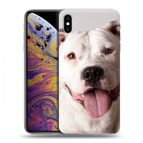 Дизайнерский силиконовый чехол для Iphone Xs Max Собаки