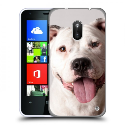 Дизайнерский пластиковый чехол для Nokia Lumia 620 Собаки