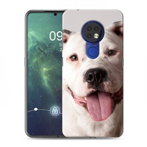 Дизайнерский пластиковый чехол для Nokia 6.2 Собаки