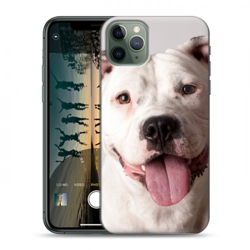 Дизайнерский пластиковый чехол для Iphone 11 Pro Собаки